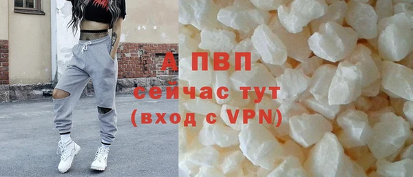 гашик Новокубанск