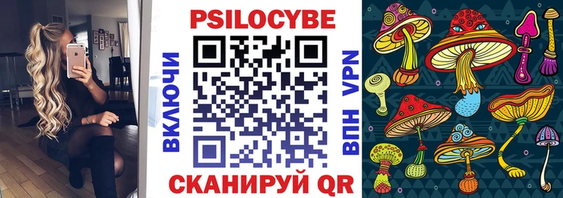 Псилоцибиновые грибы MAGIC MUSHROOMS  купить наркотики цена  Волгоград 
